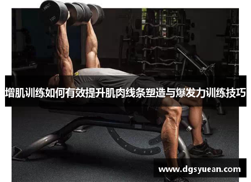 增肌训练如何有效提升肌肉线条塑造与爆发力训练技巧